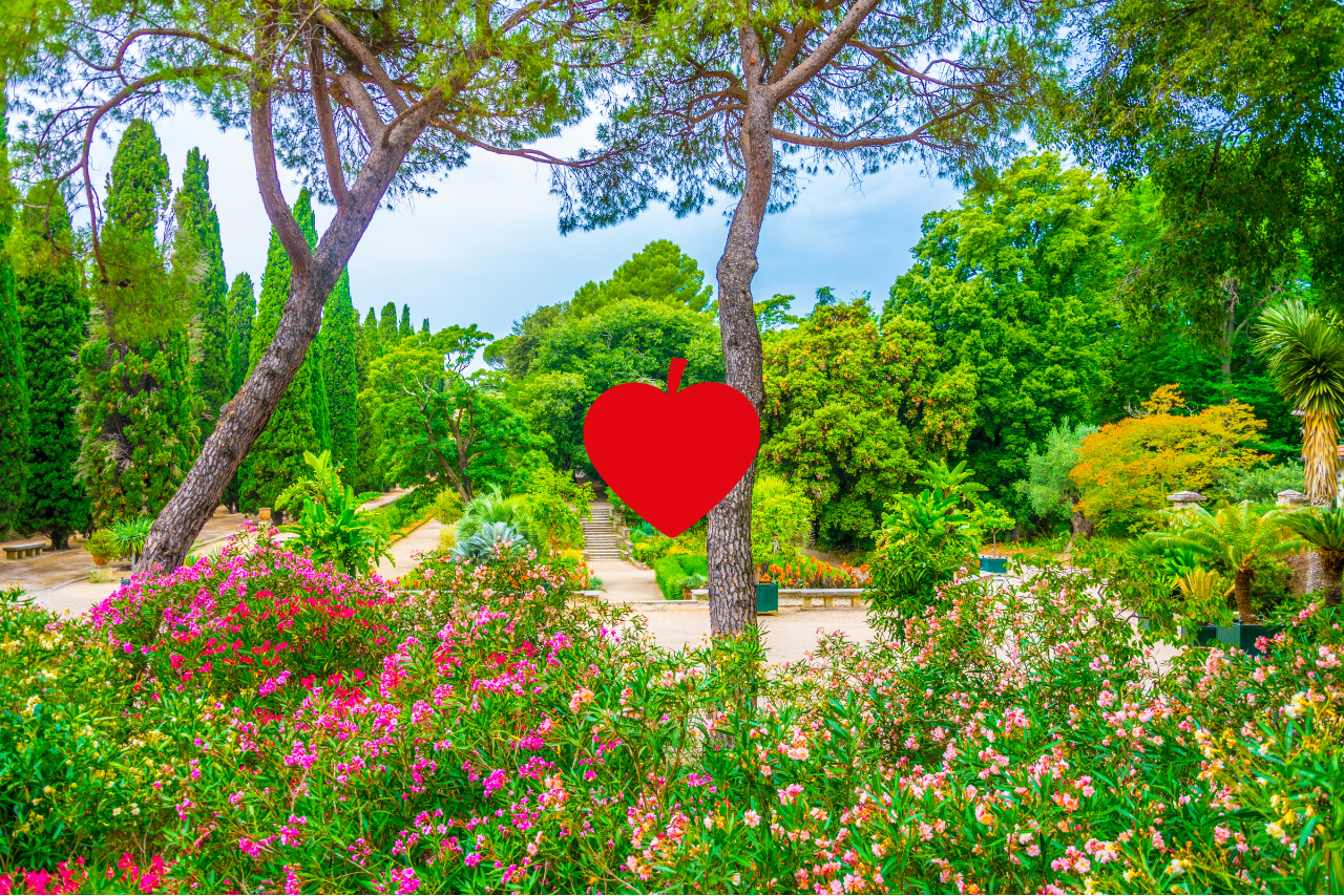 Le Jardin des plantes, Montpellier 